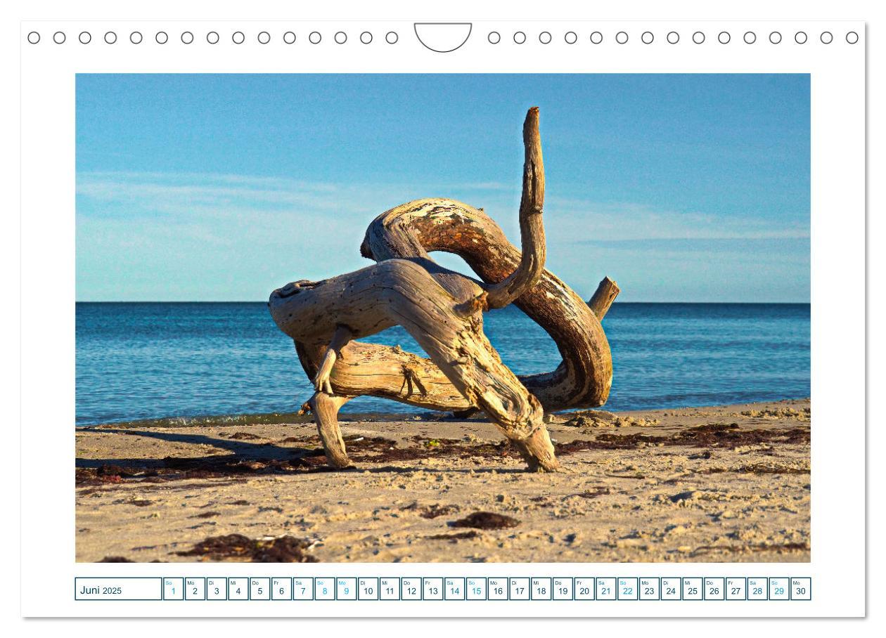 Bild: 9783457242131 | Der Weststrand am Darß (Wandkalender 2025 DIN A4 quer), CALVENDO...