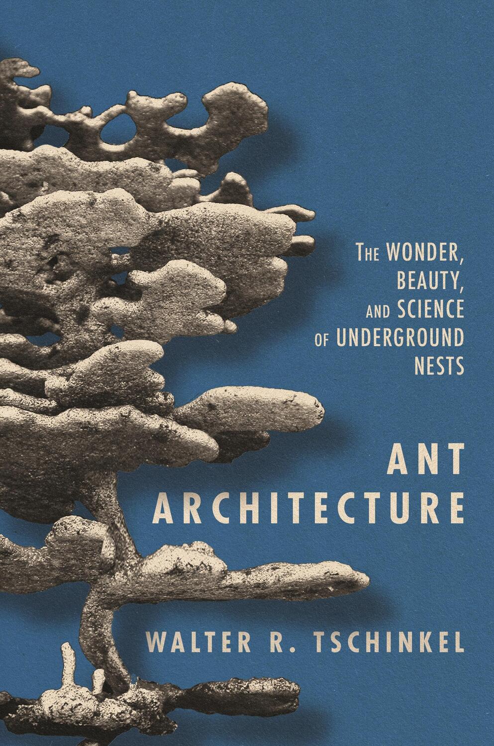 Cover: 9780691179315 | Ant Architecture | Walter R Tschinkel | Buch | Gebunden | Englisch