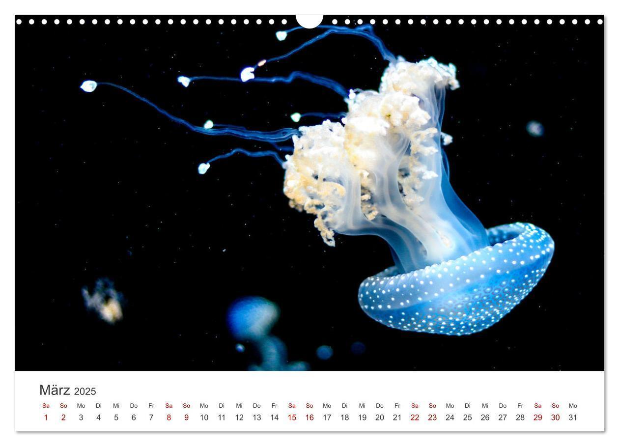 Bild: 9783383938290 | Tiefsee - Ein Abenteuer ins Unbekannte. (Wandkalender 2025 DIN A3...