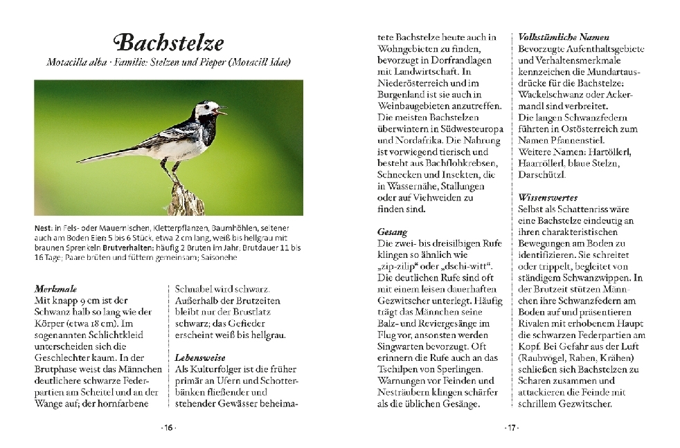 Bild: 9783710401749 | Das kleine Buch: Singvögel | Klaus Kamolz | Buch | 64 S. | Deutsch