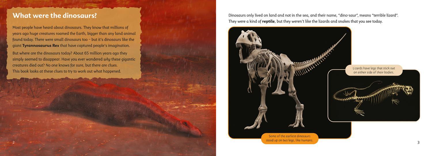 Bild: 9780007230846 | What Happened to the Dinosaurs? | Band 13/Topaz | Jon Hughes | Buch