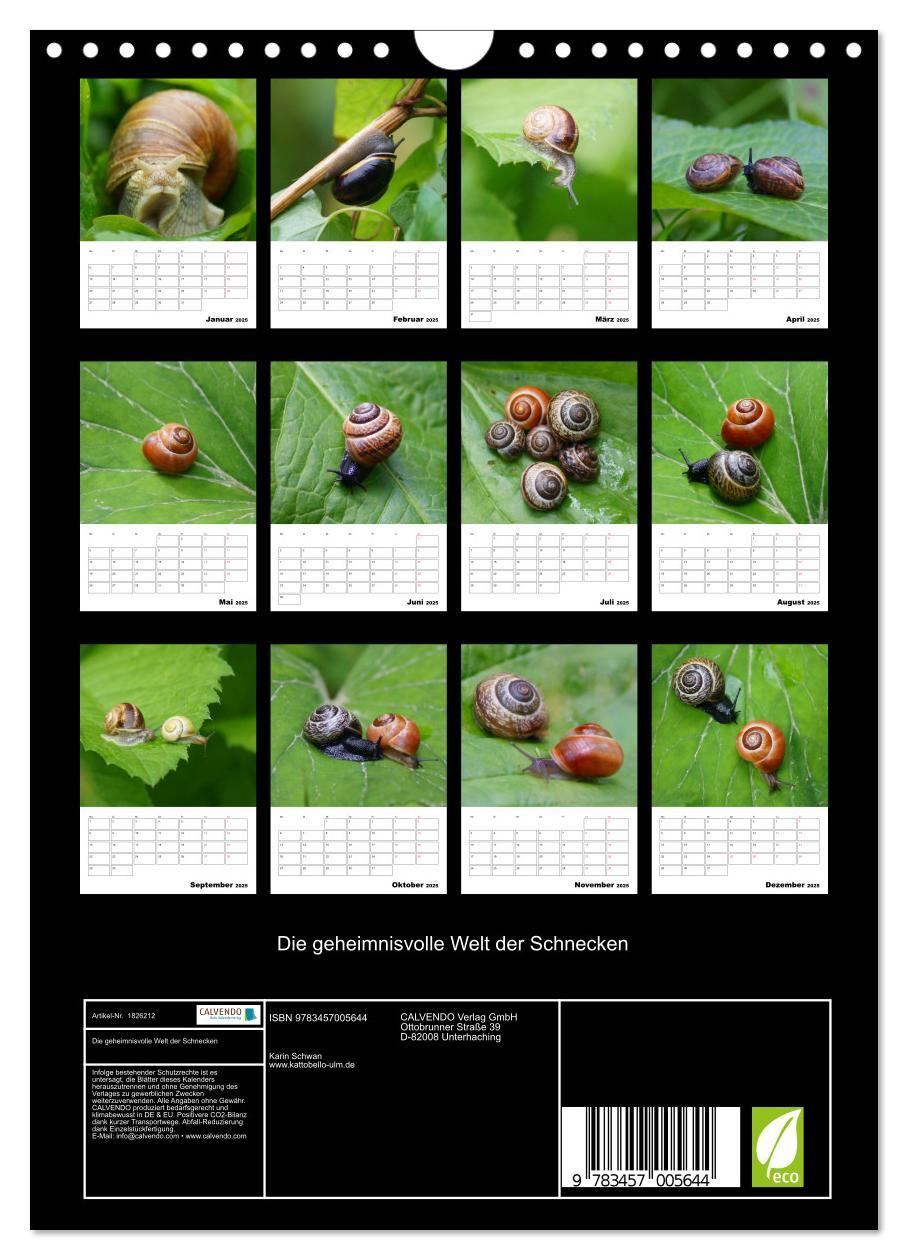 Bild: 9783457005644 | Die geheimnisvolle Welt der Schnecken (Wandkalender 2025 DIN A4...