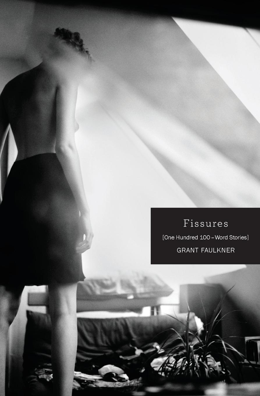 Cover: 9781941209202 | Fissures | One Hundred 100-Word Stories | Grant Faulkner | Taschenbuch