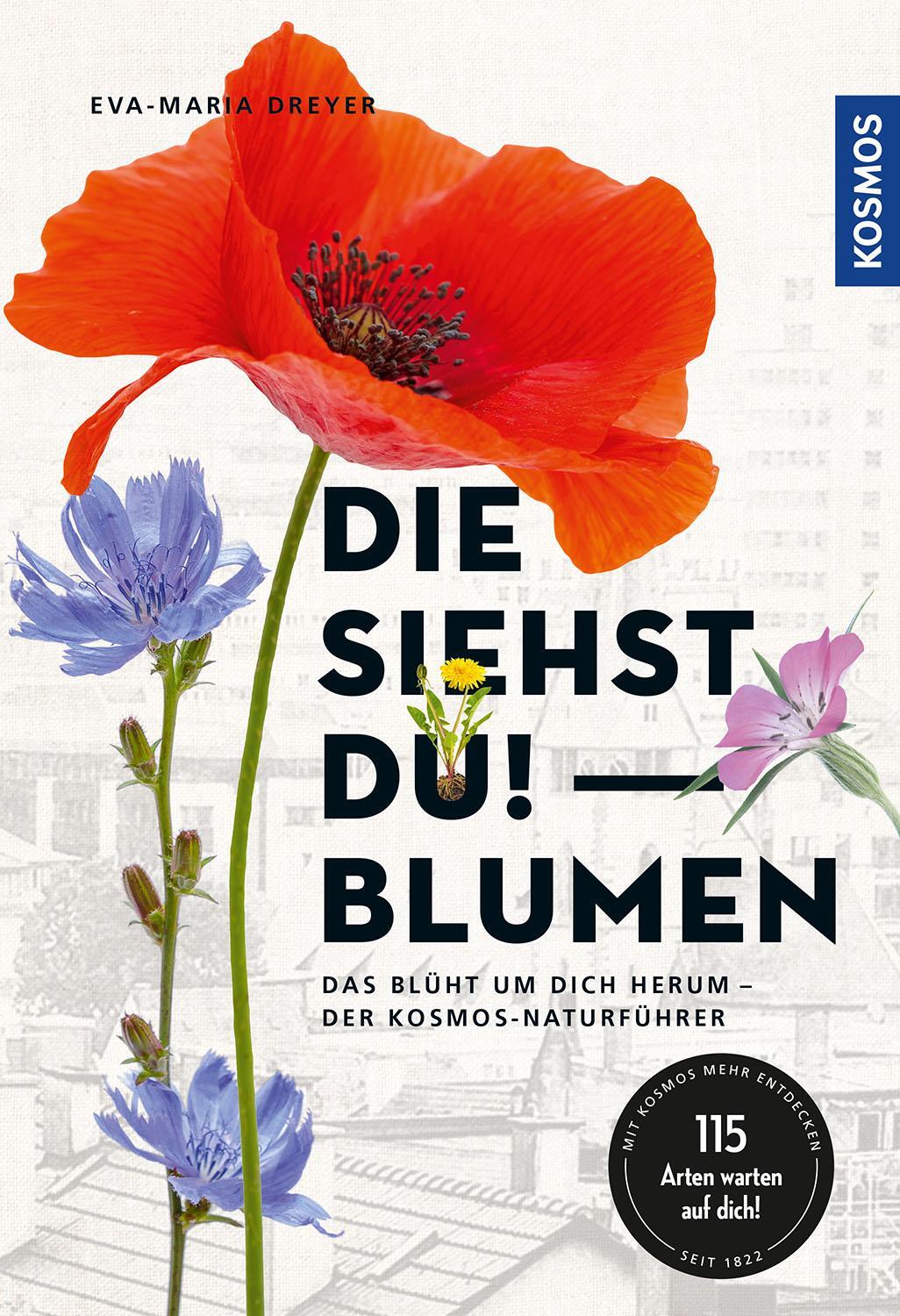 Cover: 9783440171066 | Die siehst du - Blumen | Eva-Maria Dreyer | Taschenbuch | Deutsch