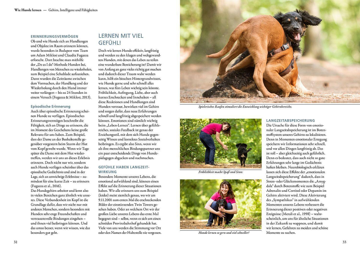 Bild: 9783440175132 | Die 10 Kompetenzen für Hunde | Kate Kitchenham | Buch | 200 S. | 2023