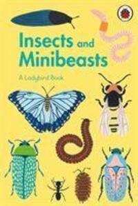 Cover: 9780241417034 | A Ladybird Book: Insects and Minibeasts | Buch | A Ladybird Book