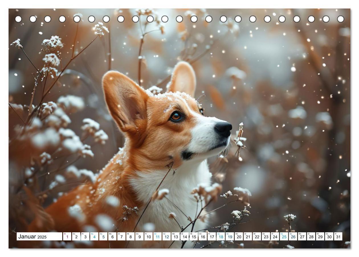 Bild: 9783383776137 | Happy Corgis (Tischkalender 2025 DIN A5 quer), CALVENDO Monatskalender