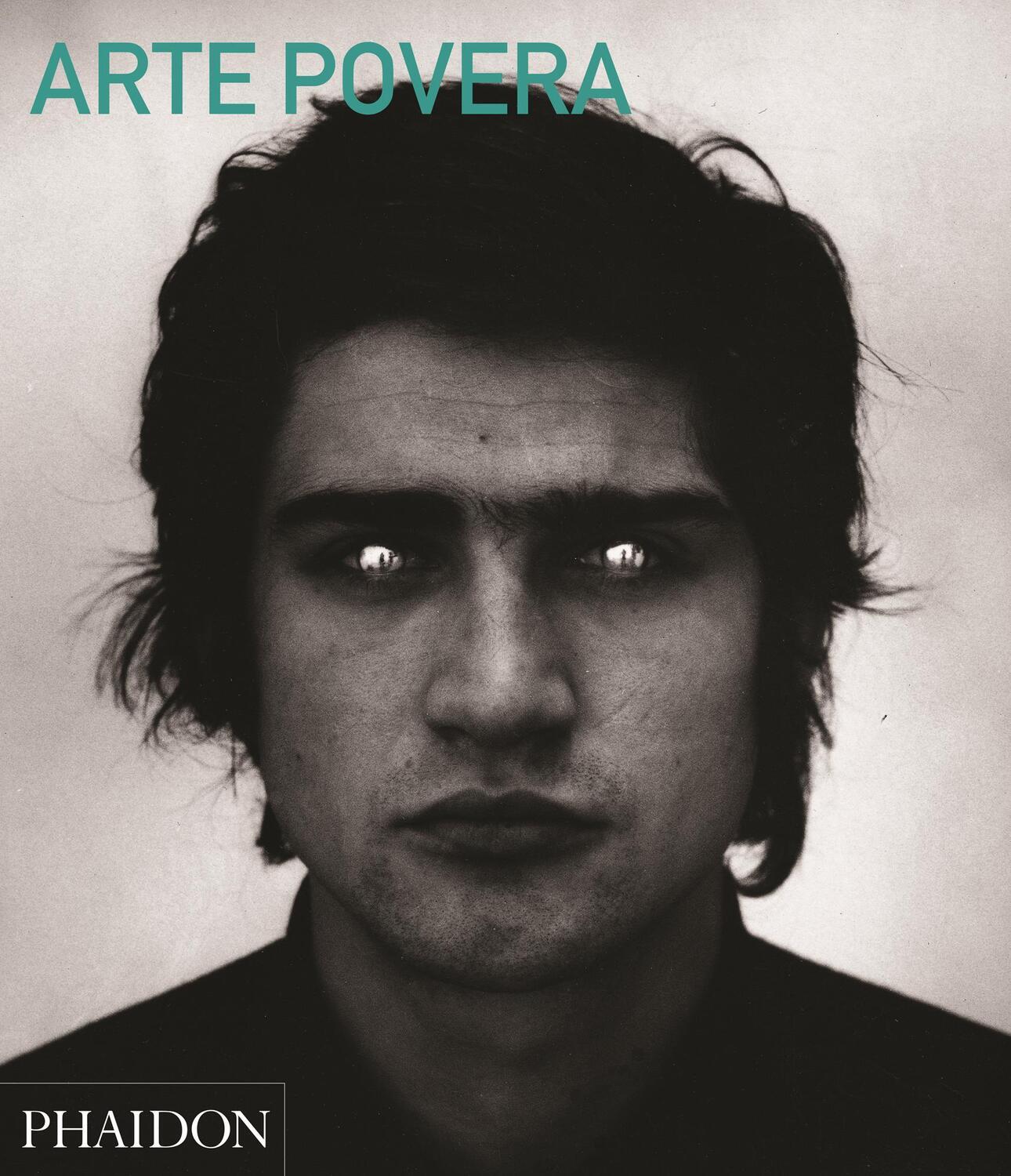 Cover: 9780714868592 | Arte Povera (Abridged Edition) | Carolyn Christov-Bakargiev | Buch