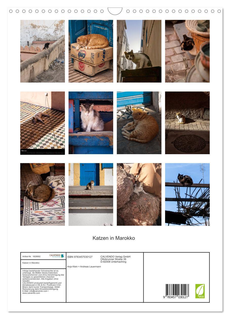 Bild: 9783457030127 | Katzen in Marokko (Wandkalender 2025 DIN A3 hoch), CALVENDO...