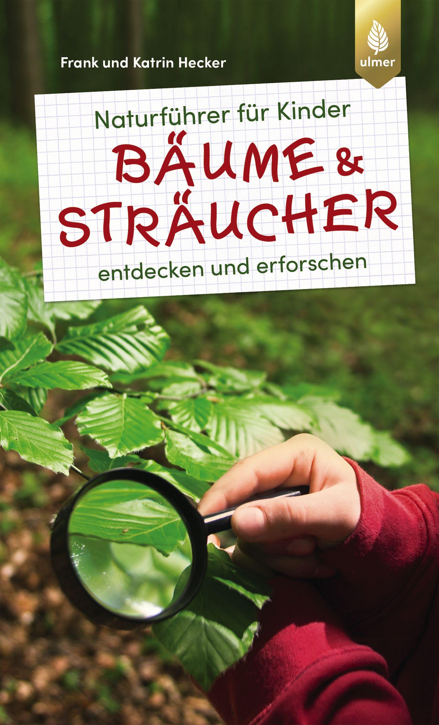 Cover: 9783818605292 | Naturführer für Kinder: Bäume und Sträucher | entdecken und erforschen