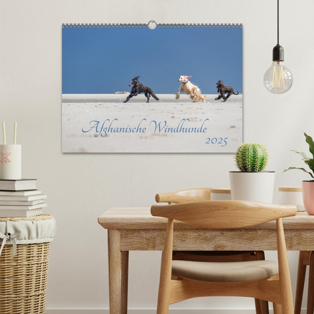 Bild: 9783435413324 | AFGHANISCHE WINDHUNDE 2025 (Wandkalender 2025 DIN A3 quer),...