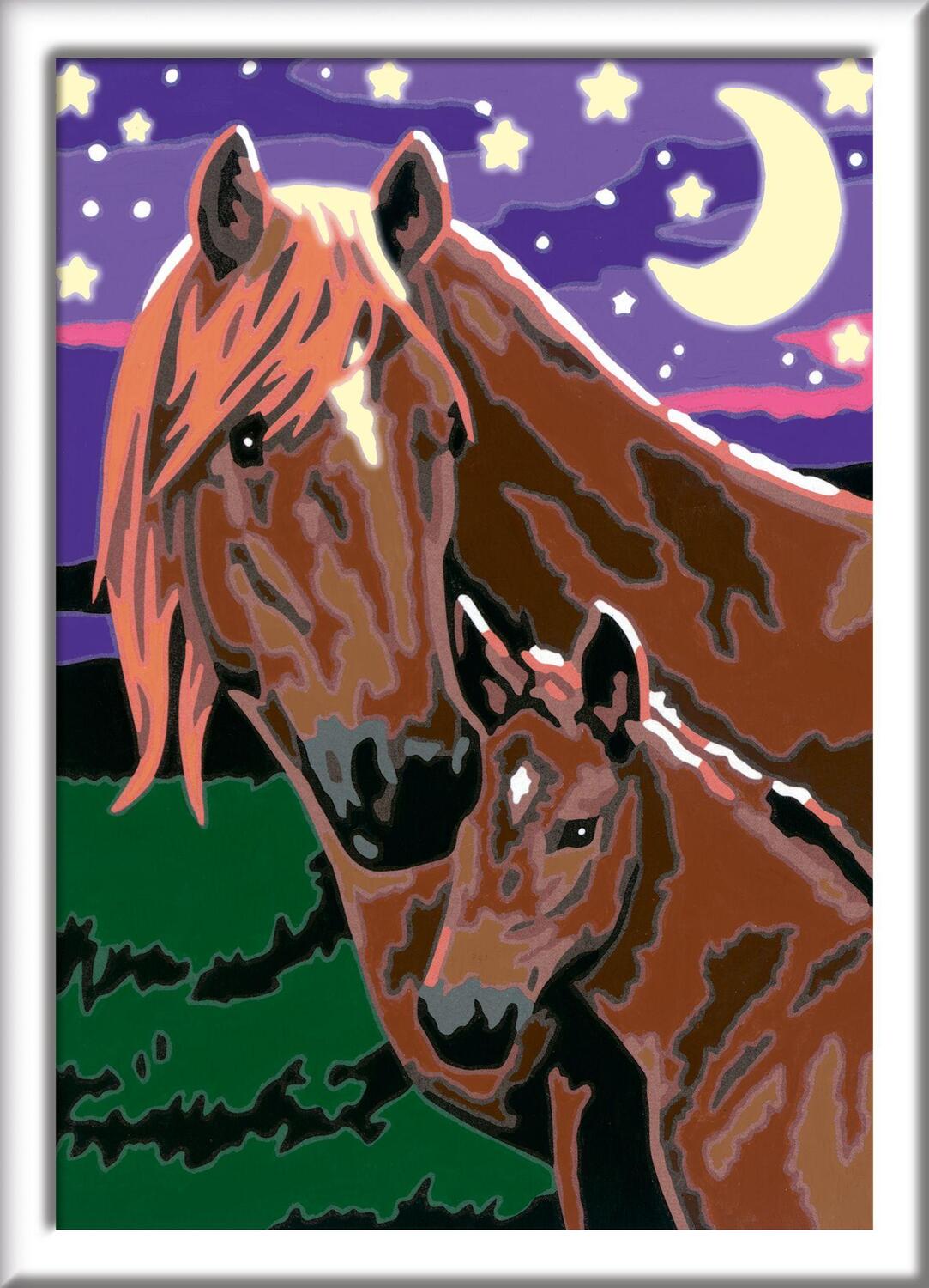 Bild: 4005556278442 | Pferde Malen nach Zahlen Sonderserie E | Mit Leuchtfarbe! | Spiel