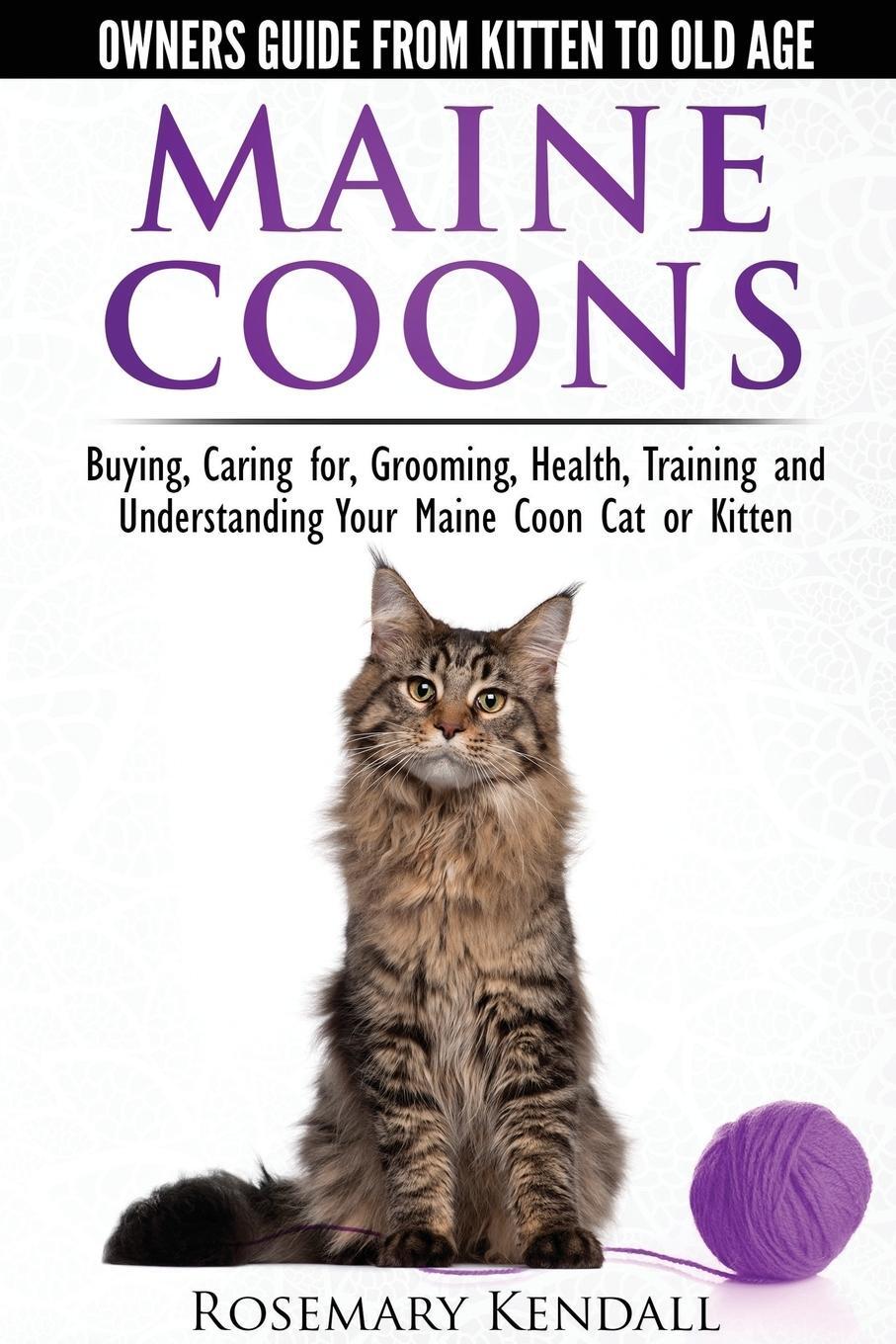 Cover: 9780992784355 | Maine Coon Cats - The Owners Guide from Kitten to Old Age - Buying,...