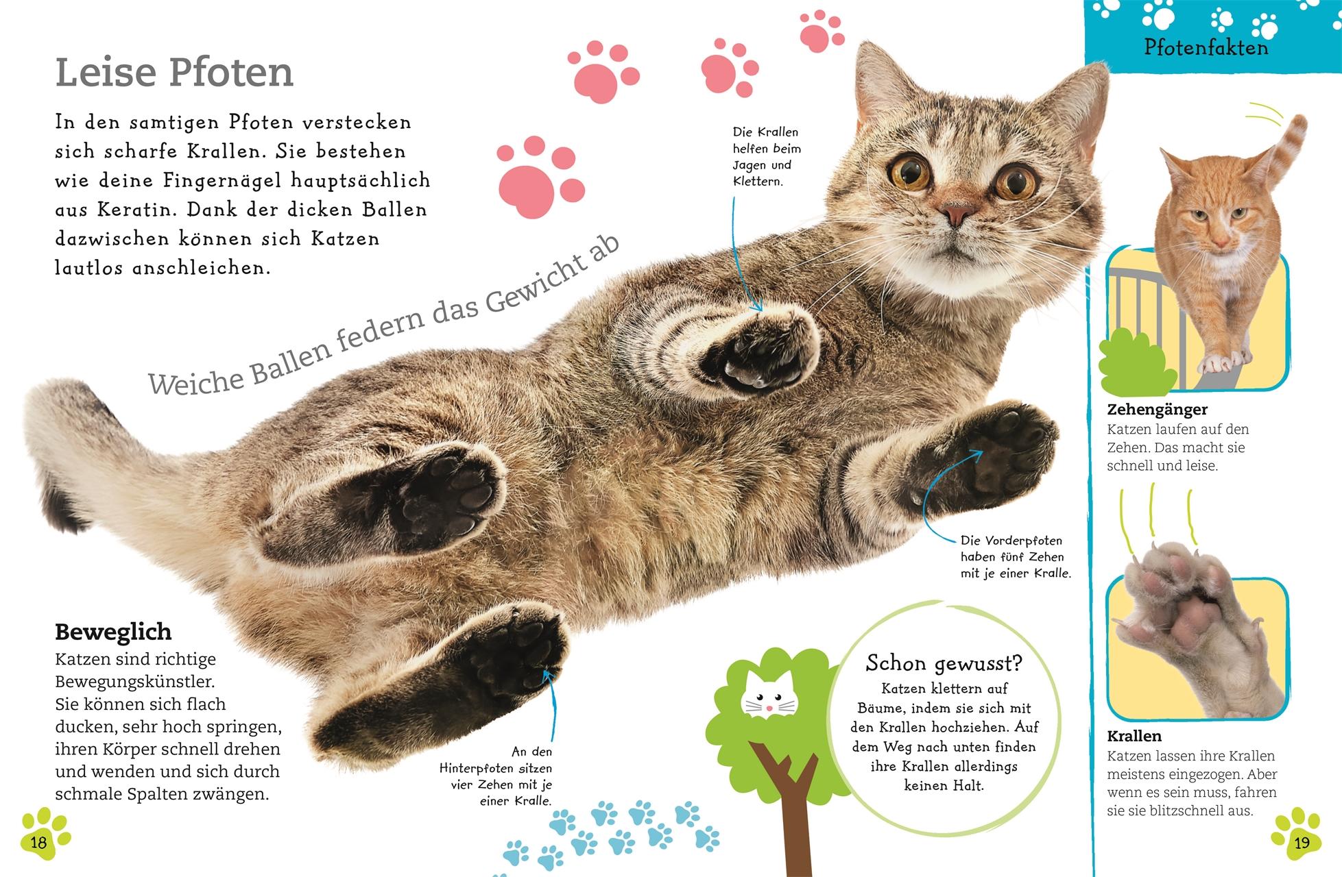 Bild: 9783831035700 | Alles über deine Katze | Frauke Bahle | Buch | 64 S. | Deutsch | 2018