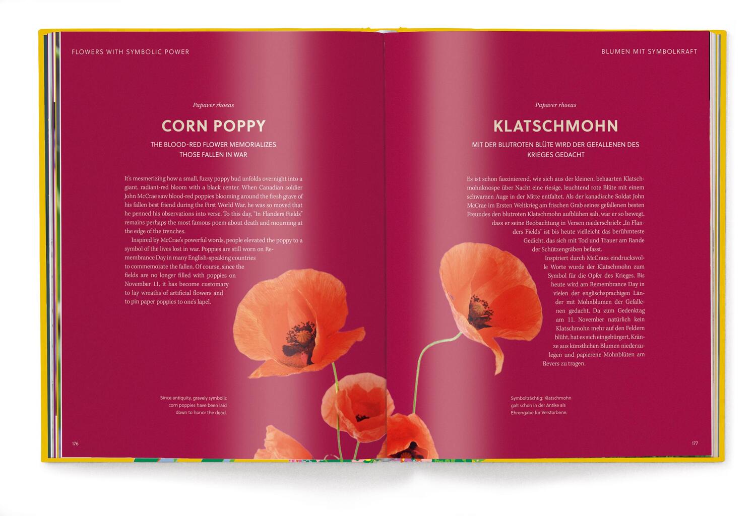 Bild: 9783961715404 | Floramour: Wildblumen | Anja Klaffenbach | Buch | 208 S. | Deutsch