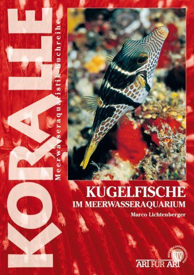 Cover: 9783866591509 | Art für Art 16. Kugelfische | Im Meerwasseraquarium | Lichtenberger