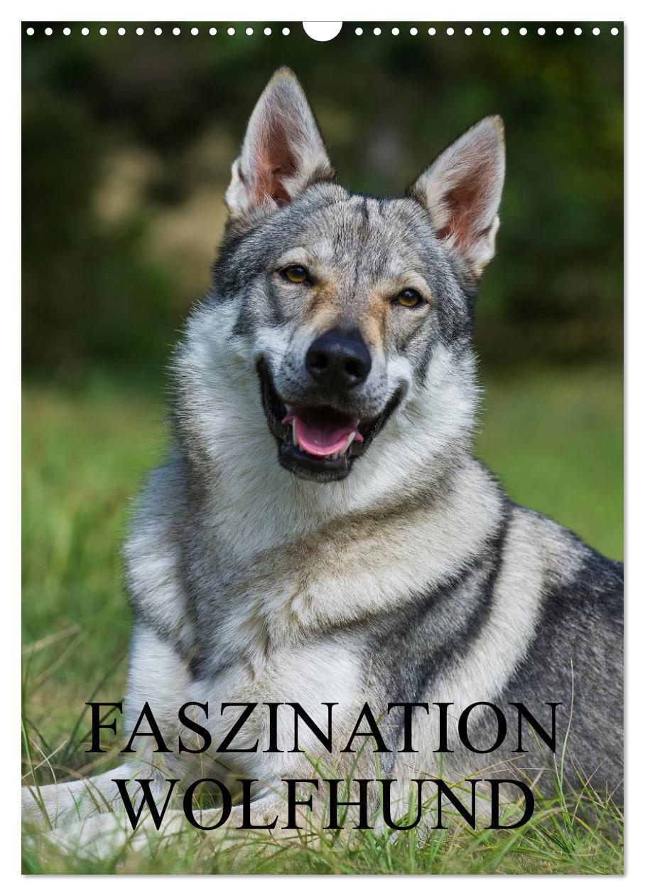 Cover: 9783383428135 | Faszination Wolfhund (Wandkalender 2024 DIN A3 hoch), CALVENDO...