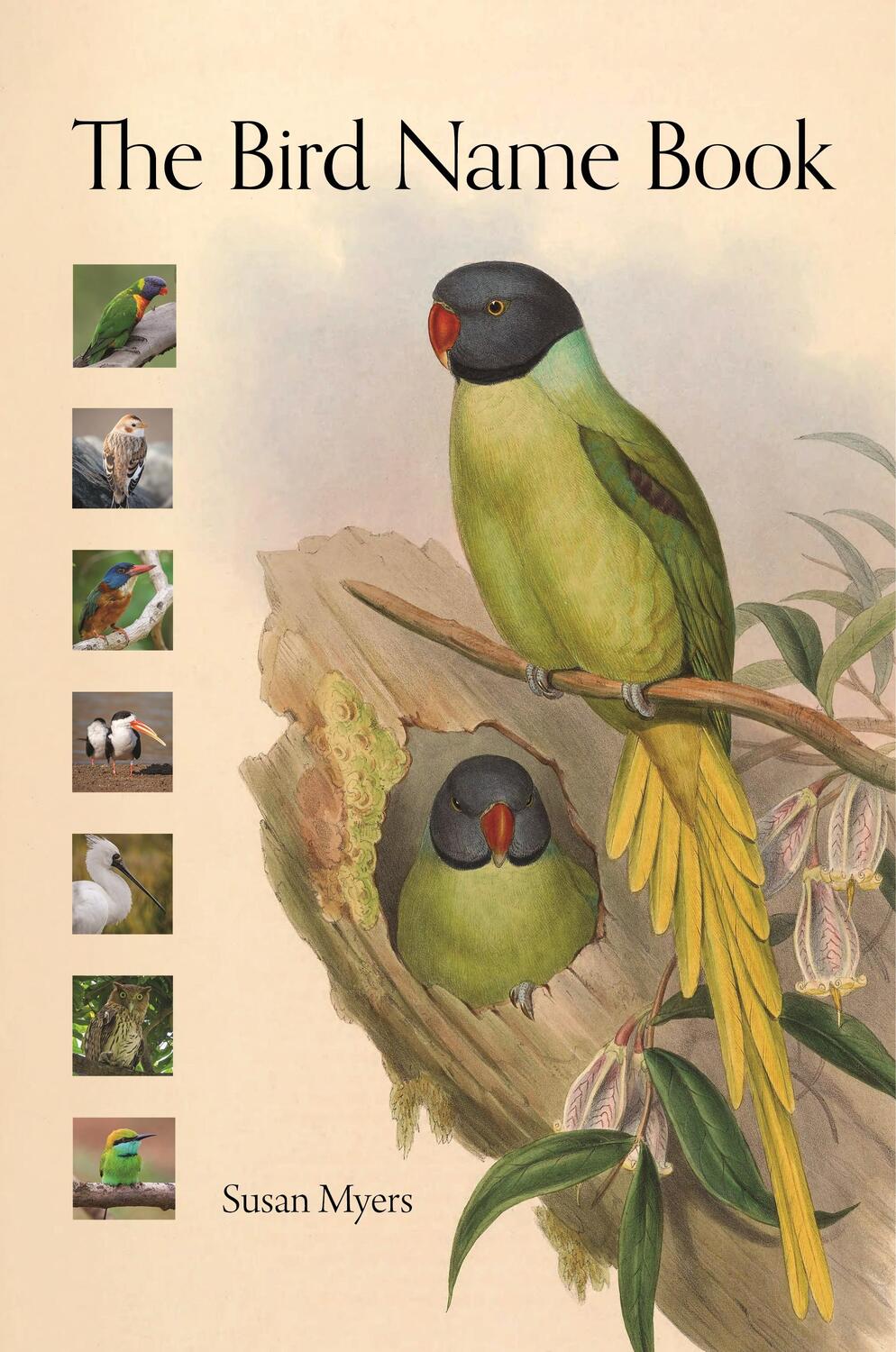 Cover: 9780691235691 | The Bird Name Book | A History of English Bird Names | Susan Myers