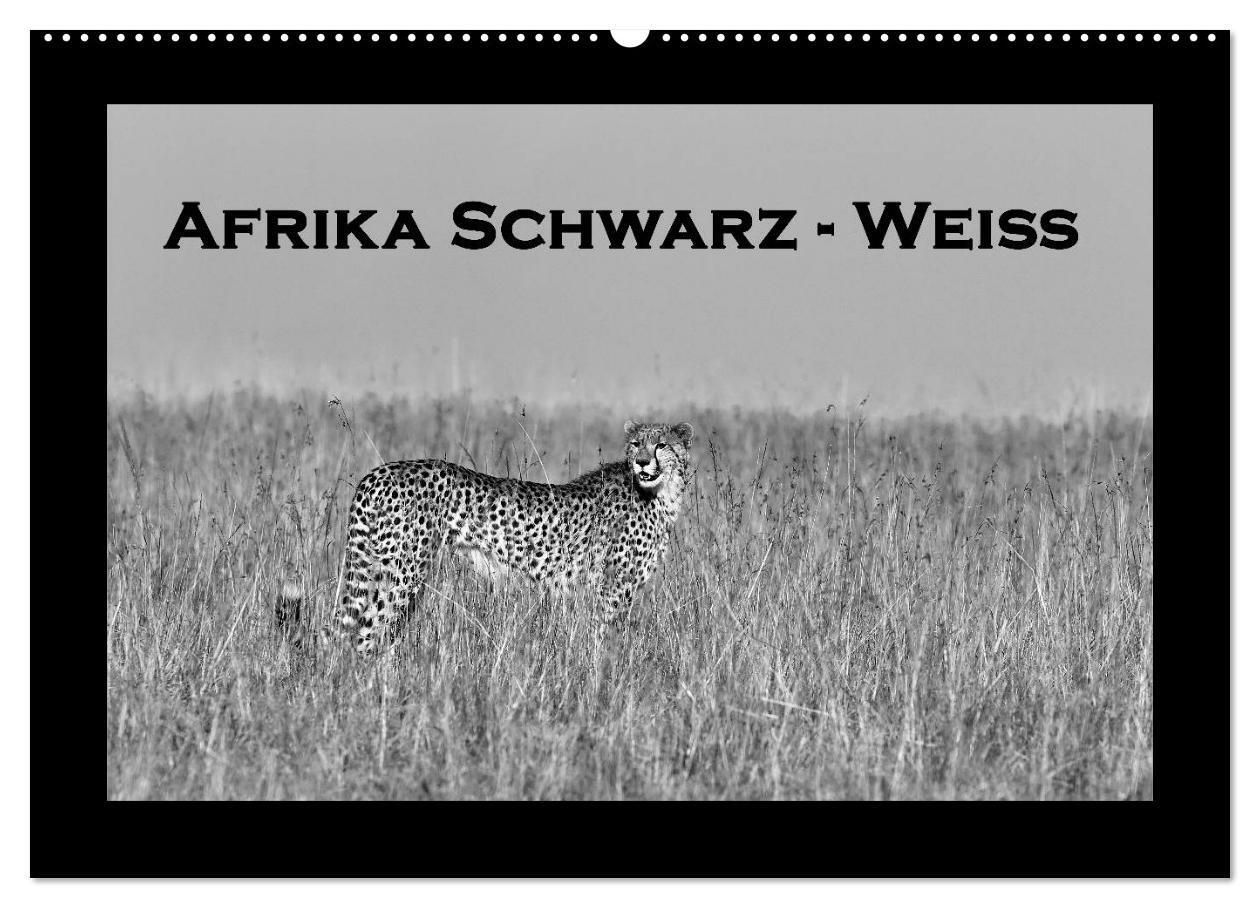 Cover: 9783383556616 | Afrika Schwarz - Weiss (Wandkalender 2024 DIN A2 quer), CALVENDO...