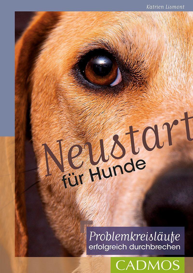 Cover: 9783840420672 | Neustart für Hunde | Problemkreisläufe erfolgreich durchbrechen | Buch