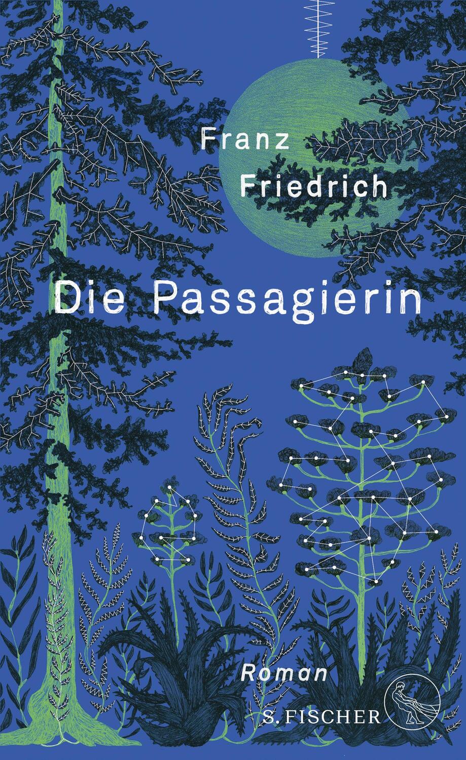 Cover: 9783103971170 | Die Passagierin | Roman | Franz Friedrich | Buch | 512 S. | Deutsch
