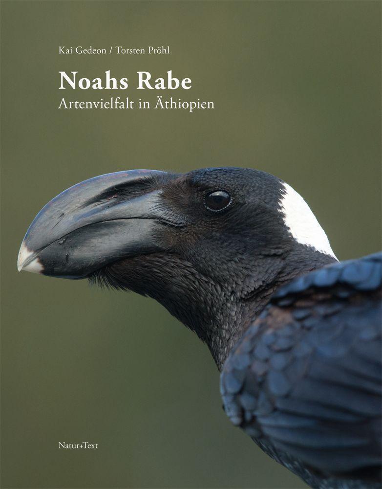 Cover: 9783942062558 | Noahs Rabe | Artenvielfalt in Äthiopien | Kai Gedeon | Buch | Deutsch