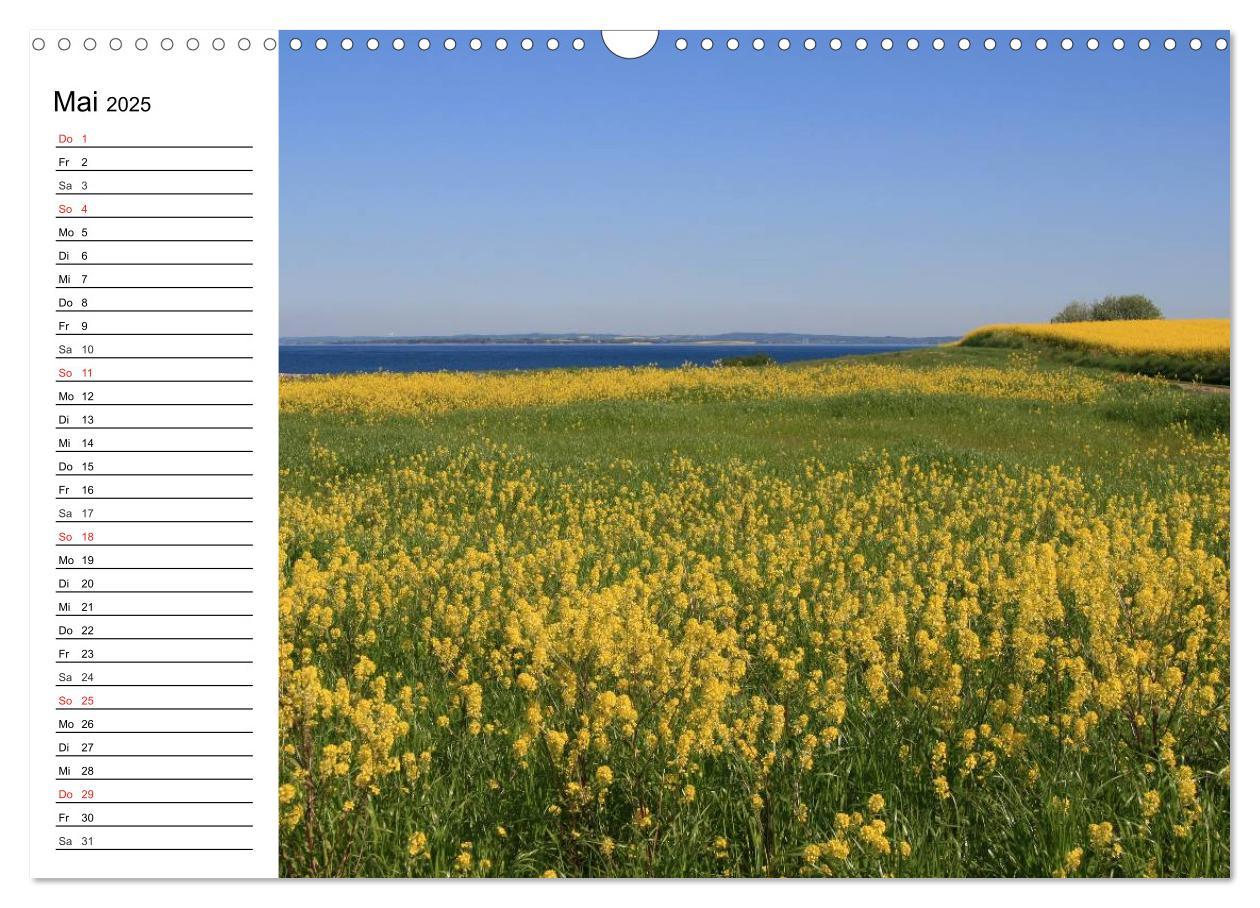 Bild: 9783435516001 | Insel Ærø - Perle der Dänischen Südsee (Wandkalender 2025 DIN A3...