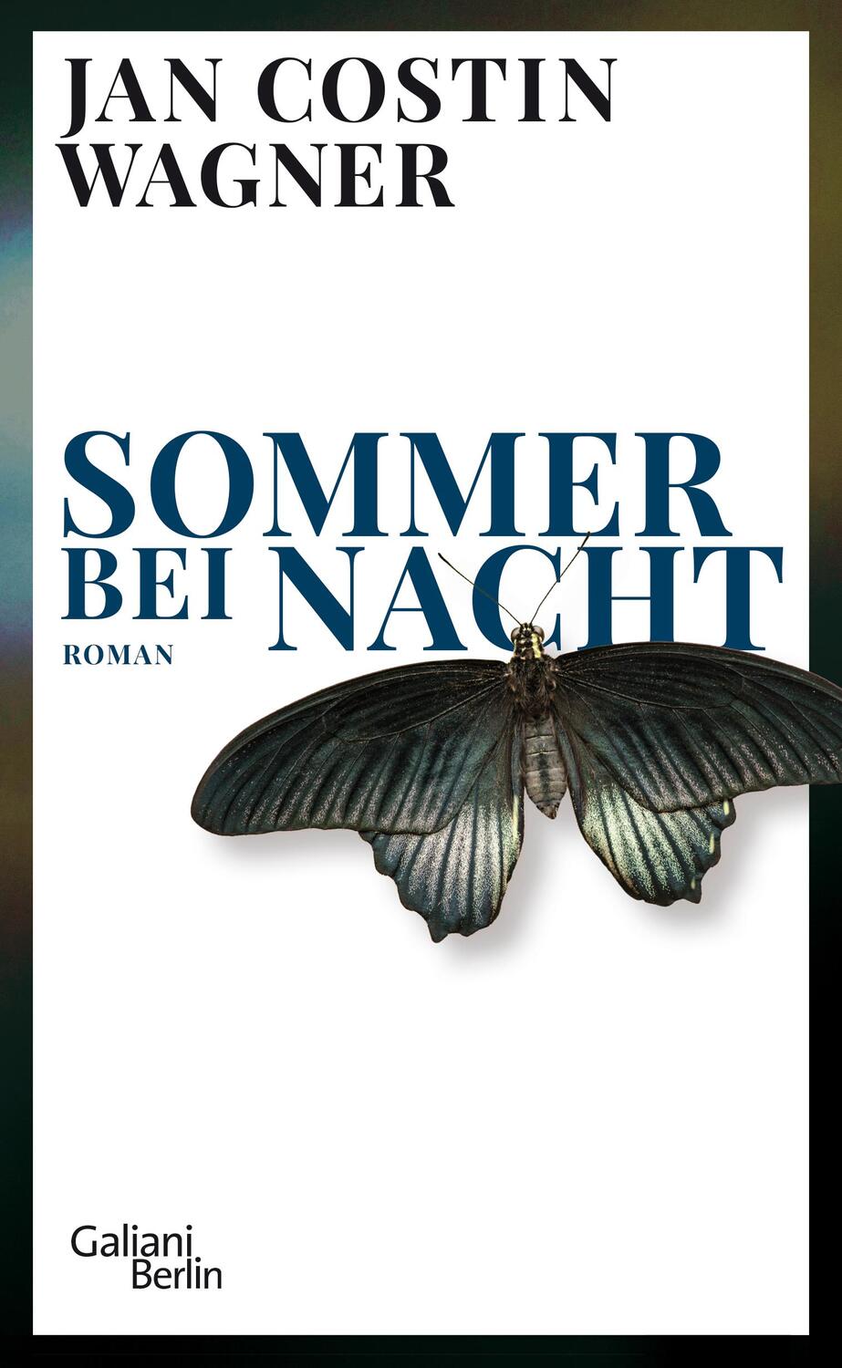 Cover: 9783869712086 | Sommer bei Nacht | Roman | Jan Costin Wagner | Buch | 320 S. | Deutsch