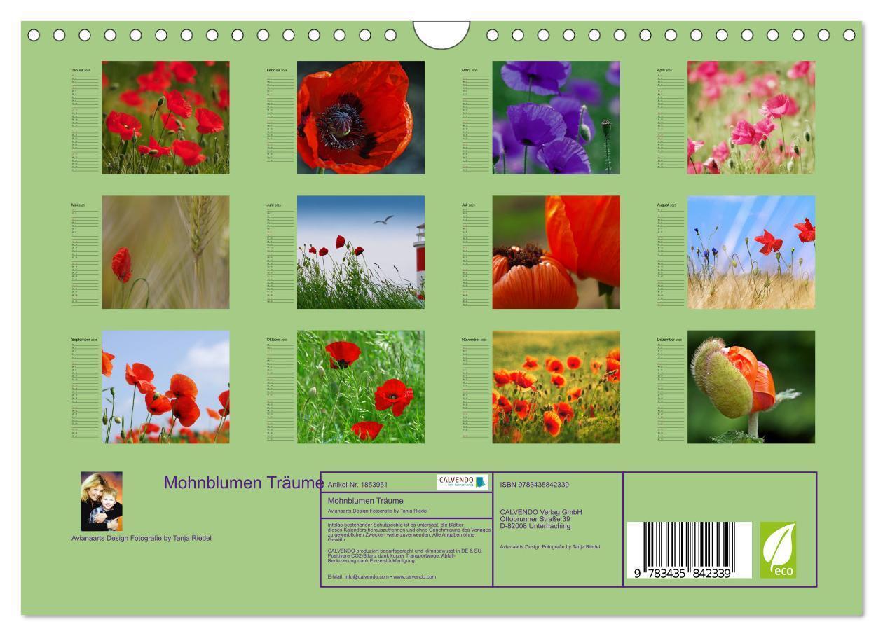 Bild: 9783435842339 | Mohnblumen Träume (Wandkalender 2025 DIN A4 quer), CALVENDO...