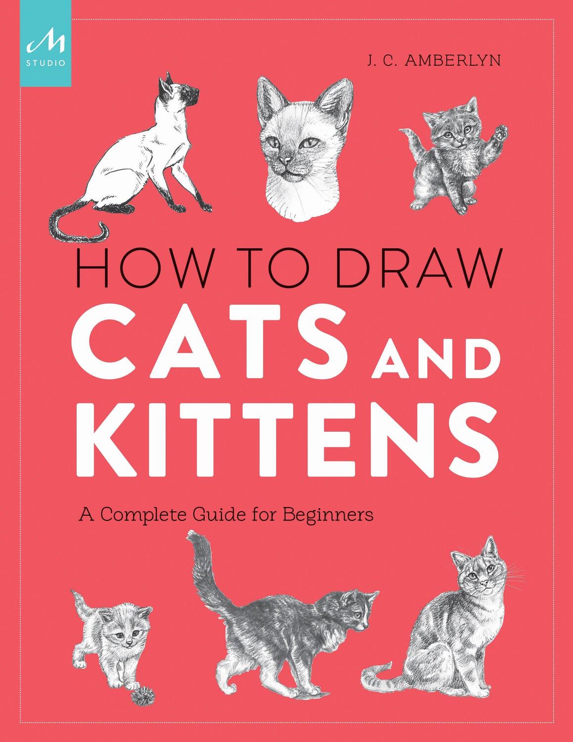 Cover: 9781580935005 | How to Draw Cats and Kittens | A Complete Guide for Beginners | Buch