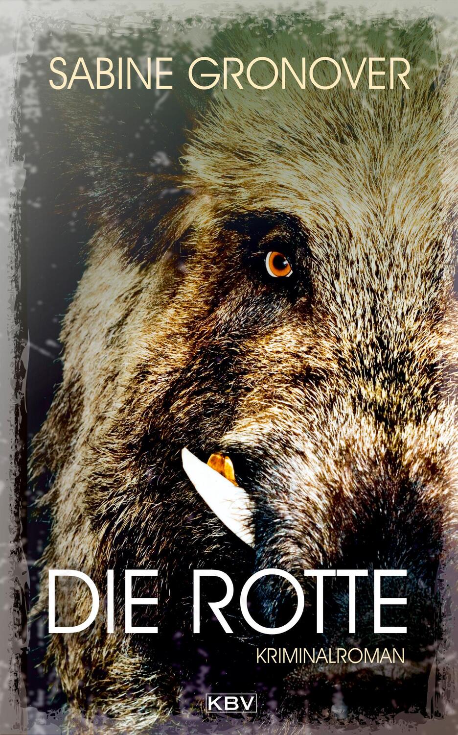 Cover: 9783954415847 | Die Rotte | Kriminalroman | Sabine Gronover | Taschenbuch | kbv krimi