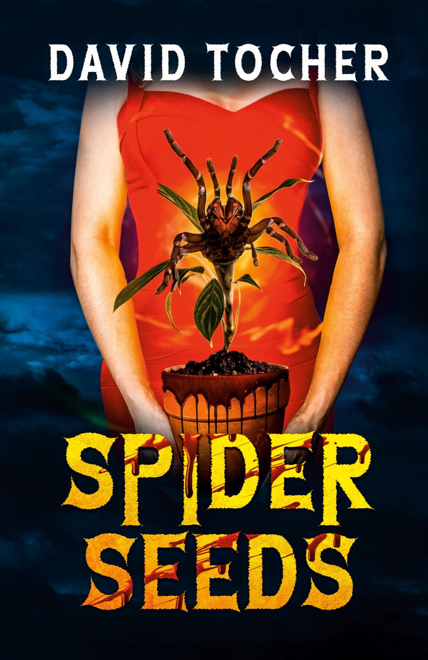 Cover: 9781068965418 | Spider Seeds | David Tocher | Taschenbuch | Englisch | 2024