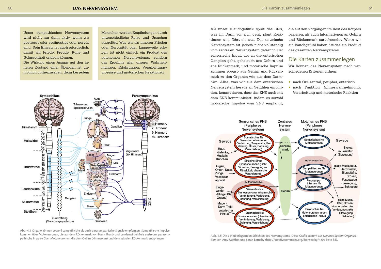 Bild: 9783742320513 | Yoga-Anatomie | Leslie Kaminoff (u. a.) | Taschenbuch | 384 S. | 2022