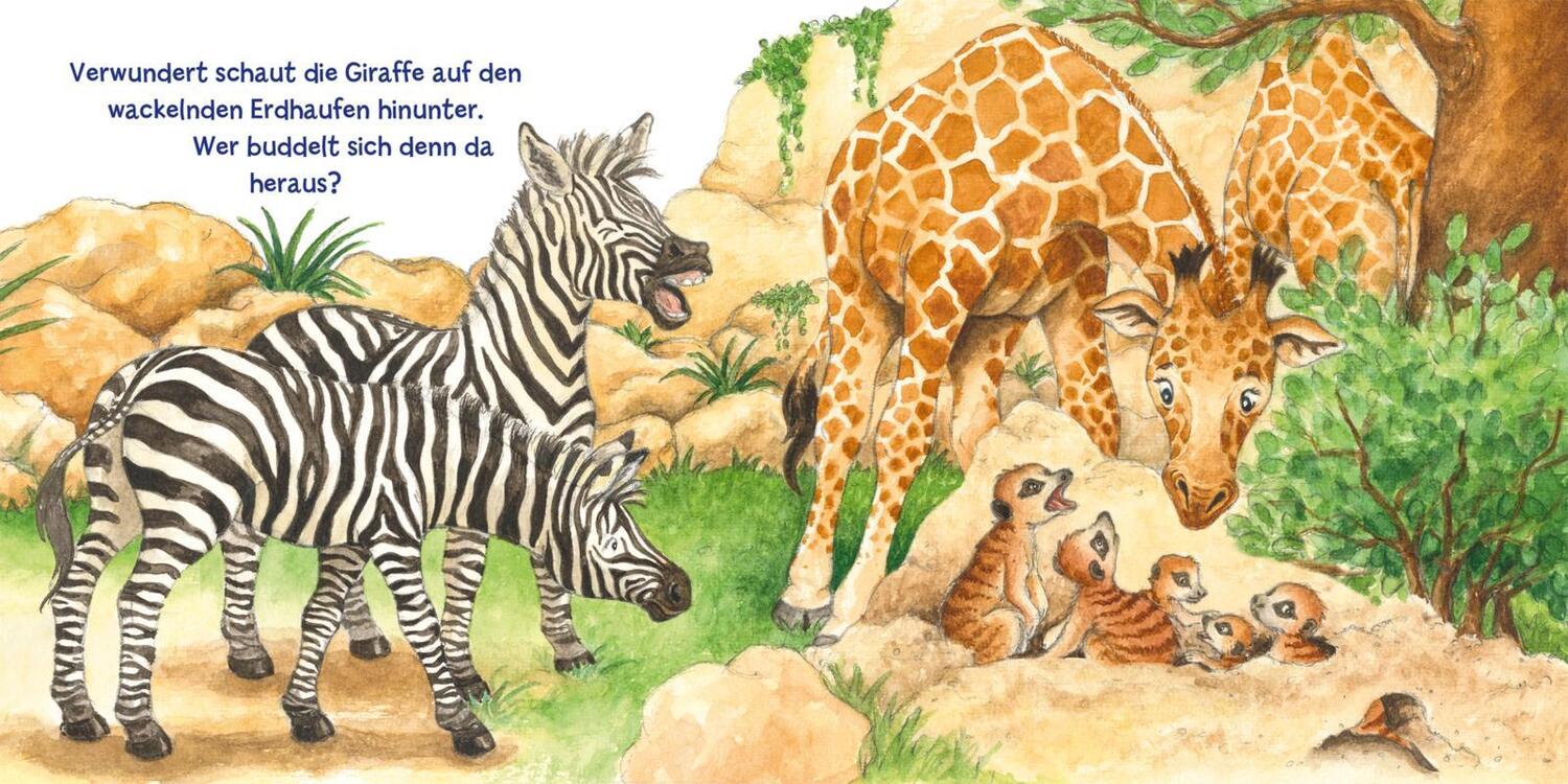 Bild: 9783551254757 | Mein erstes Hör mal (Soundbuch ab 1 Jahr): Im Zoo | Buch | 12 S.