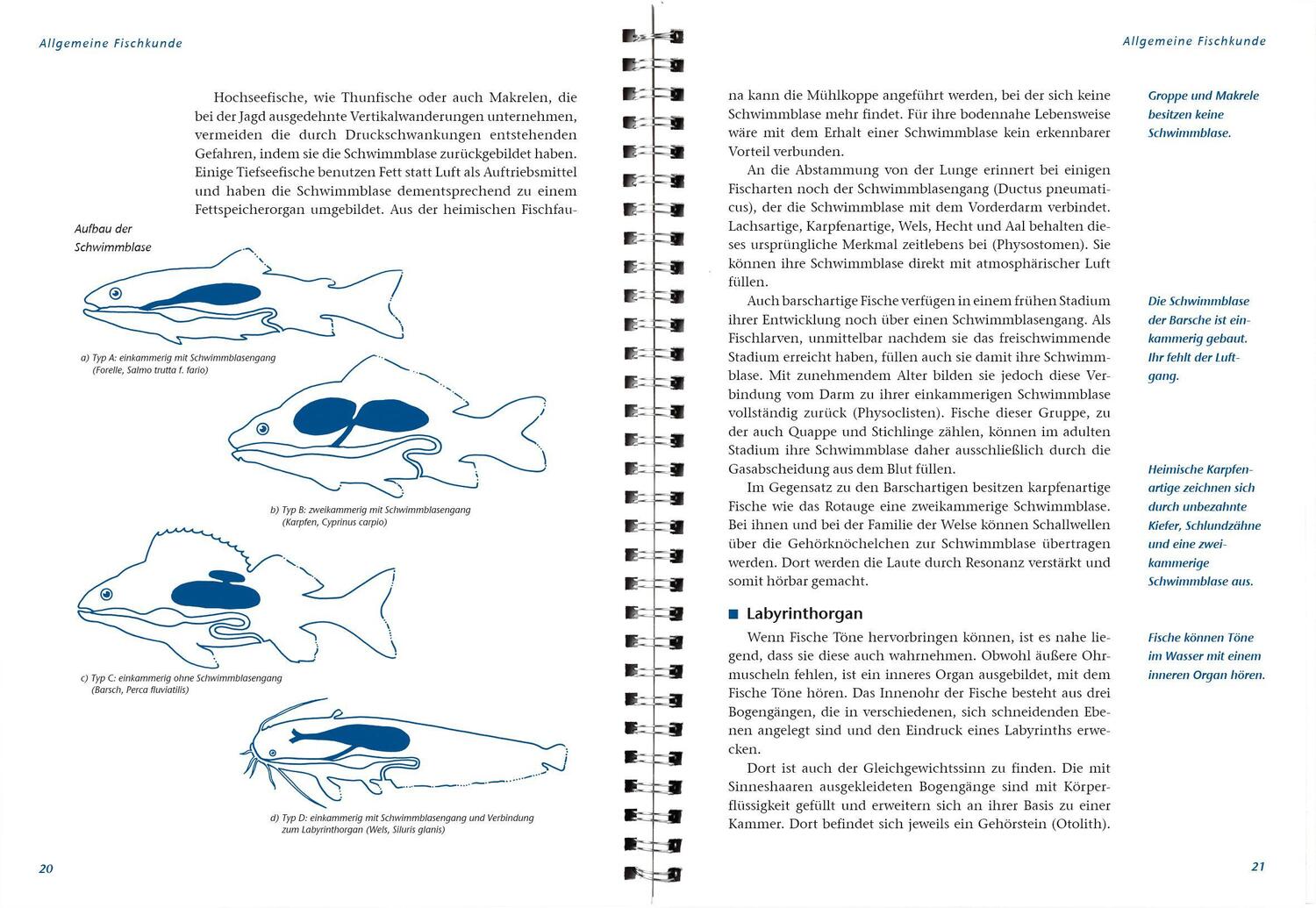 Bild: 9783784354033 | Arbeitsbuch Fischerprüfung | Taschenbuch | Spiralbindung, SPIRALB