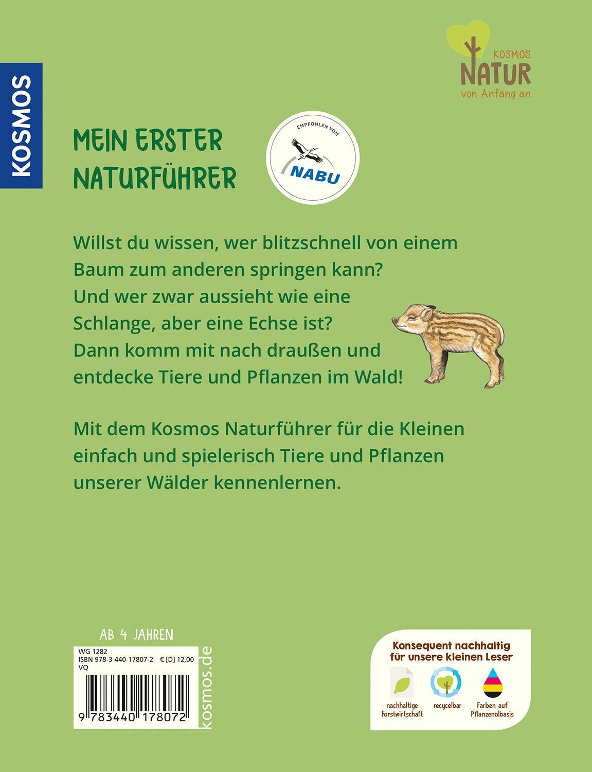 Rückseite: 9783440178072 | Mein erster Naturführer, Was lebt im Wald? | Julia Hiller | Buch