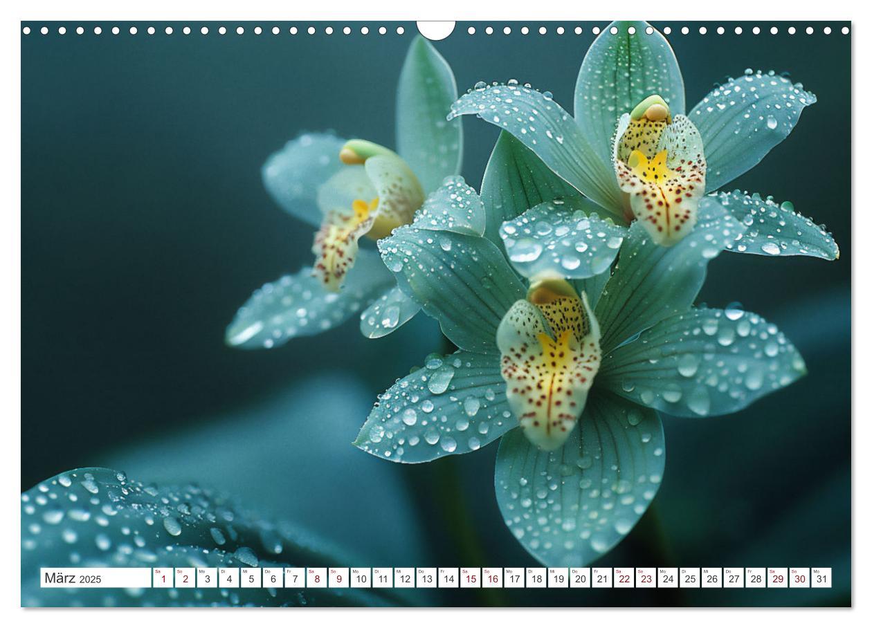 Bild: 9783457165126 | Orchideen - farbenfroh durchs Jahr (Wandkalender 2025 DIN A3 quer),...