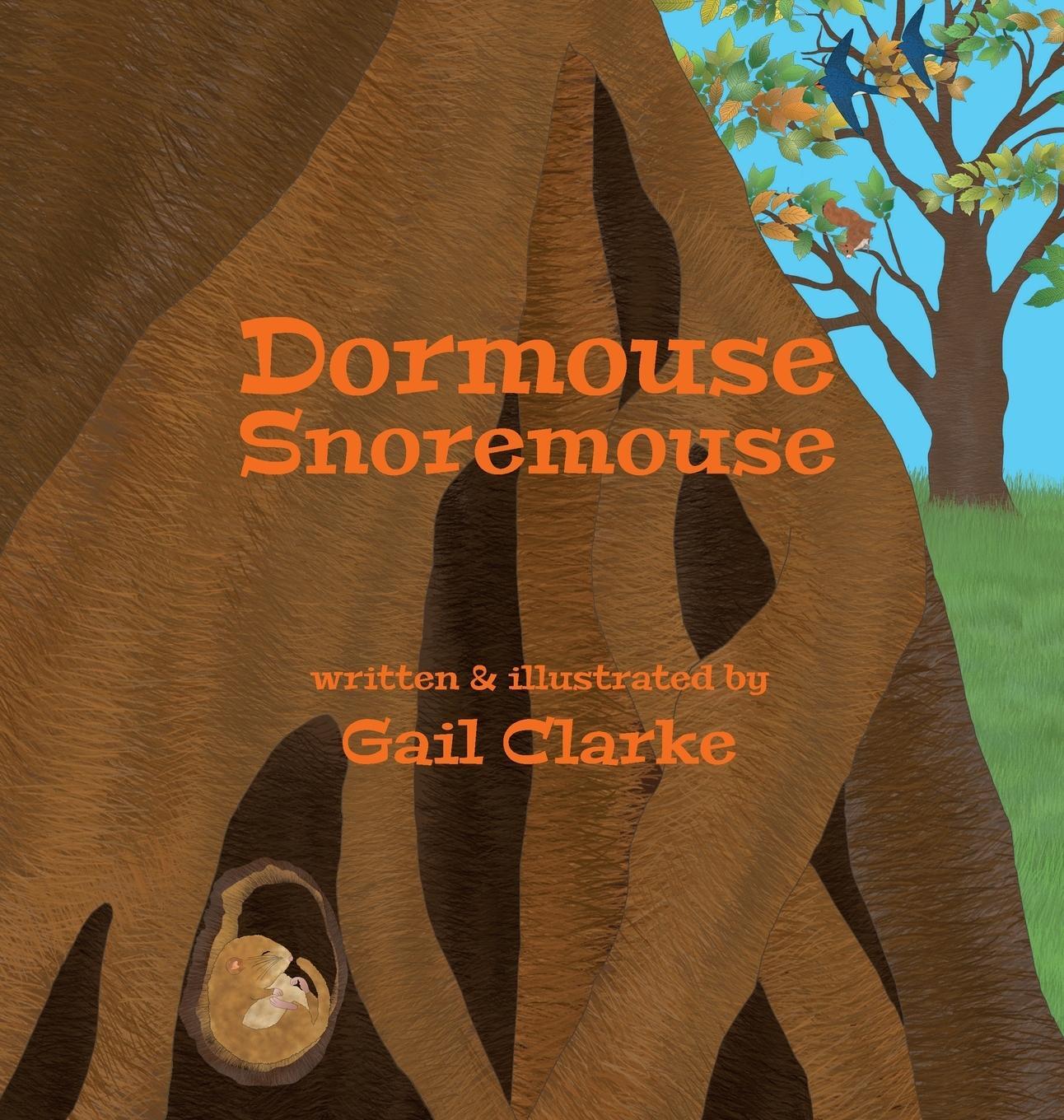 Cover: 9781912406357 | Dormouse Snoremouse | Gail Clarke | Buch | HC gerader Rücken kaschiert