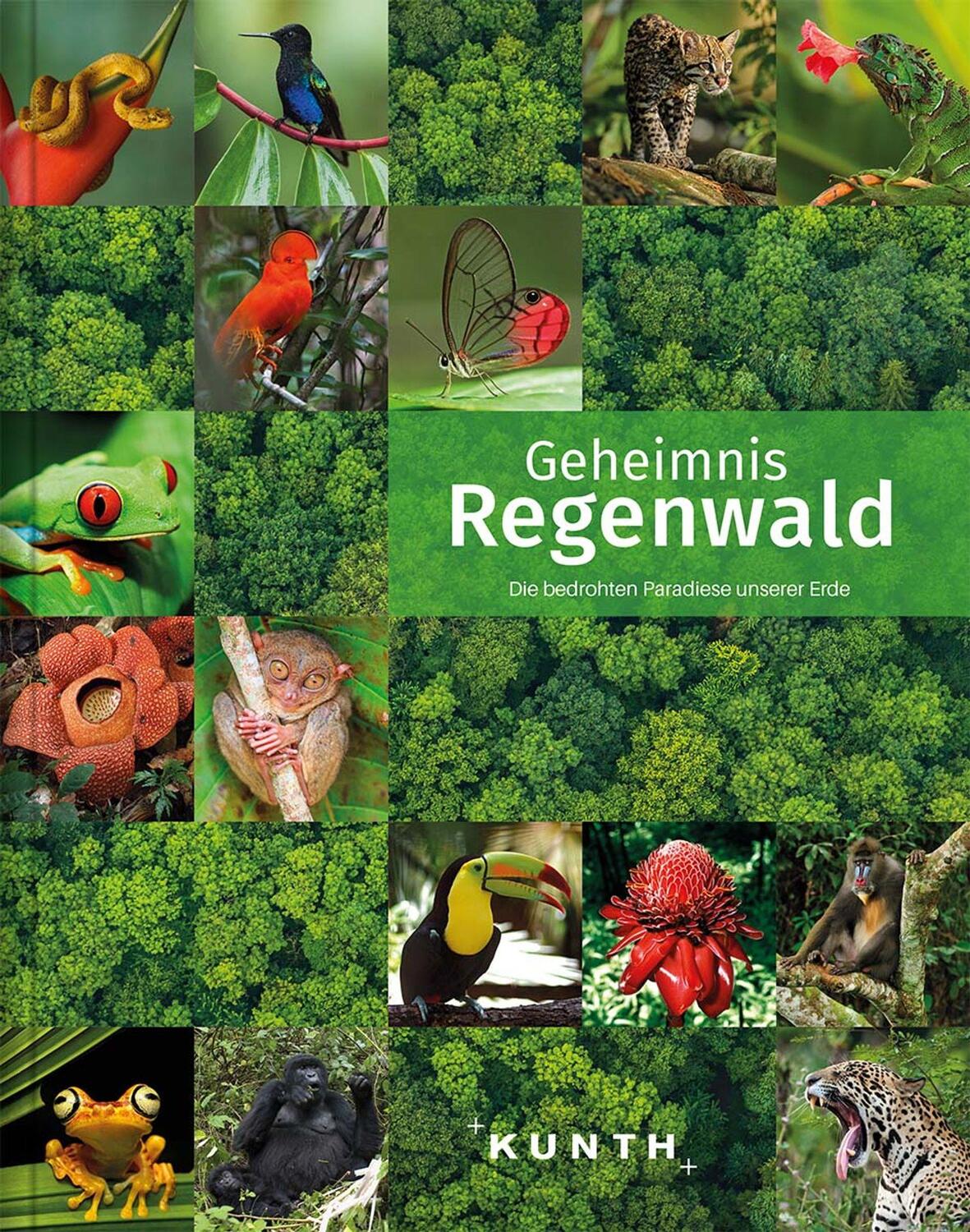 Cover: 9783955049478 | KUNTH Bildband Geheimnis Regenwald | Kunth Verlag | Buch | Deutsch