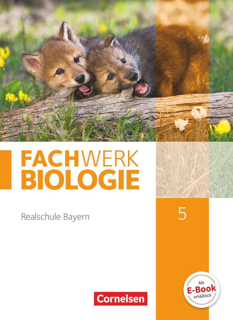 Cover: 9783060148653 | Fachwerk Biologie 5. Jahrgangsstufe - Realschule Bayern - Schülerbuch