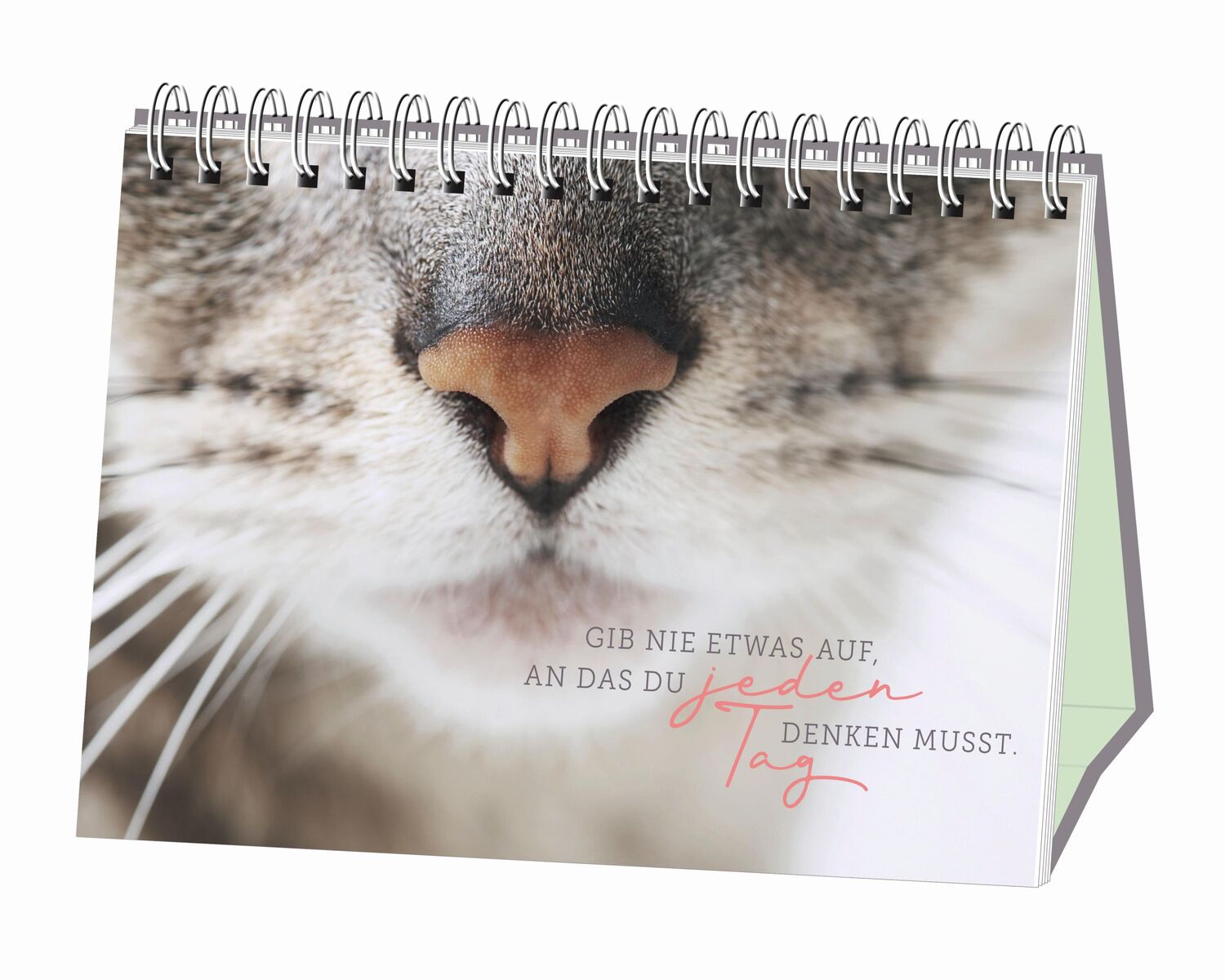 Bild: 9783862297108 | Kleine Tiger, großes Glück! | Spiralbuch | Taschenbuch | 52 S. | 2019