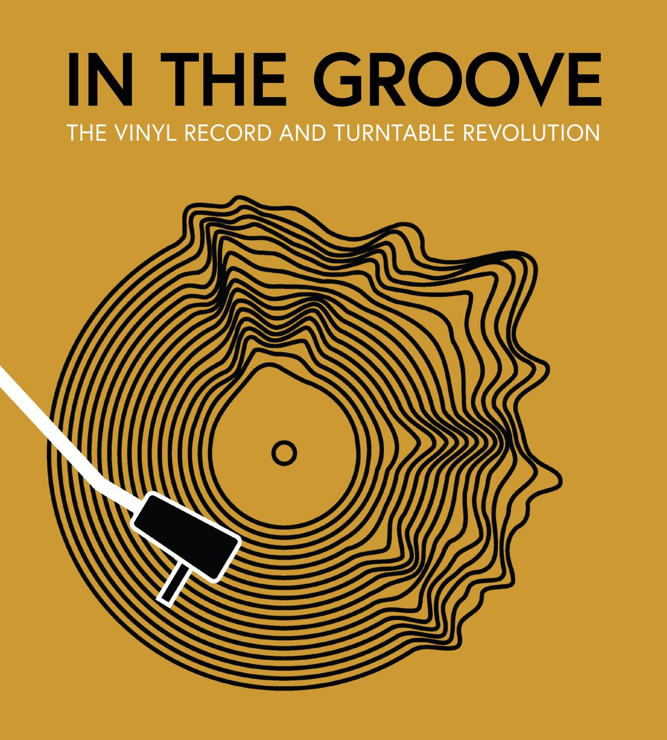 Cover: 9780760383315 | In the Groove | The Vinyl Record and Turntable Revolution | Buch