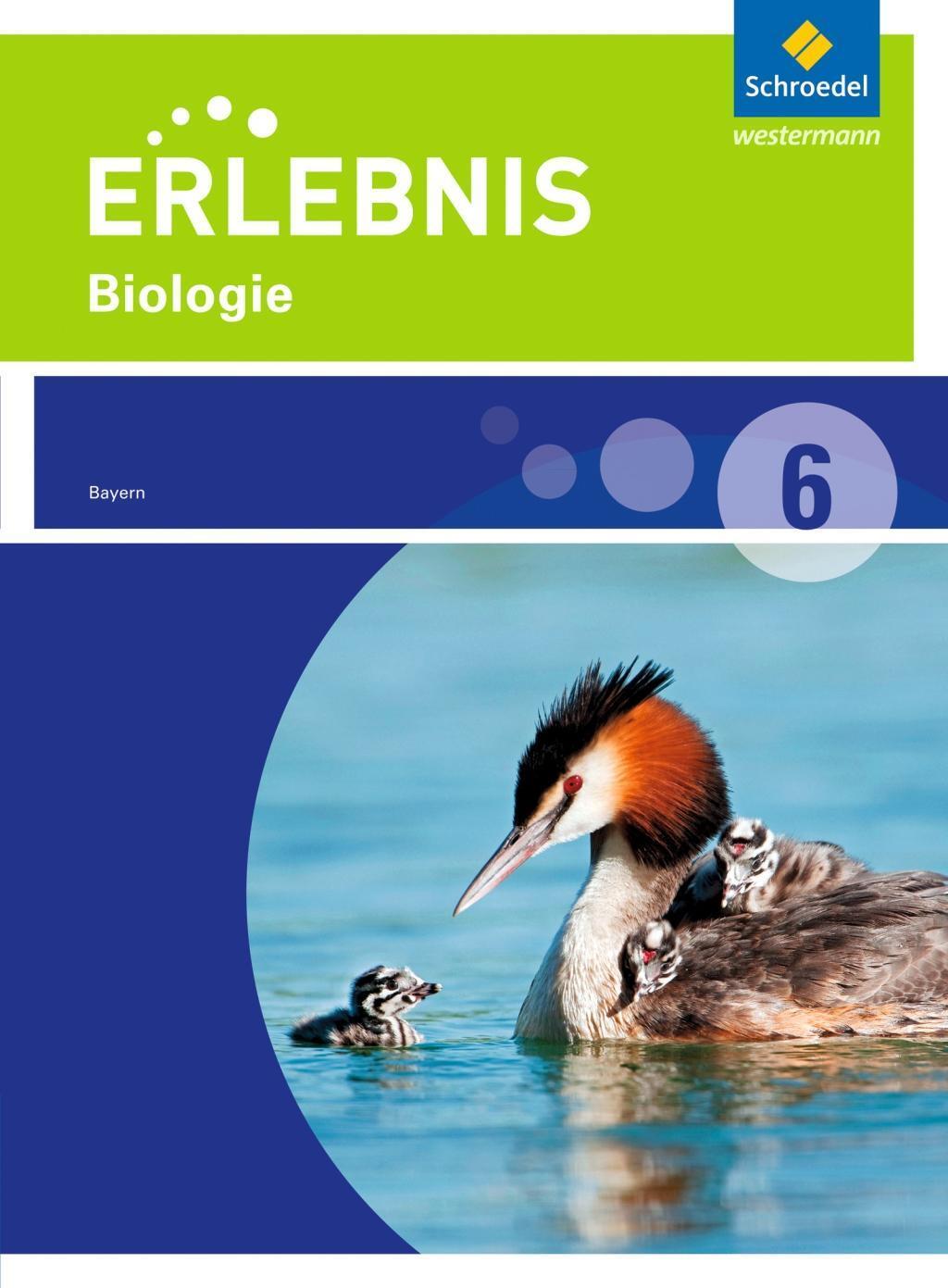 Cover: 9783507777781 | Erlebnis Biologie 6. Schülerband. Realschule. Bayern | Ausgabe 2016