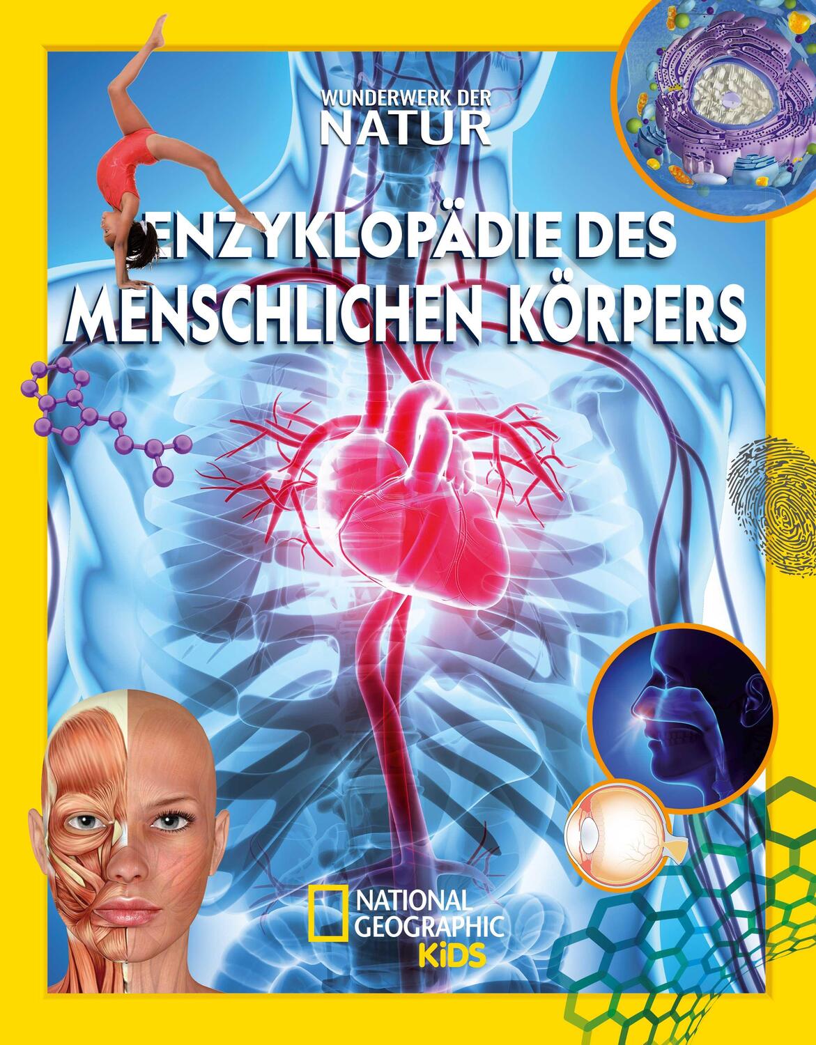 Cover: 9788863124866 | Enzyklopädie des menschlichen Körpers: Wunderwerk der Natur | Buch