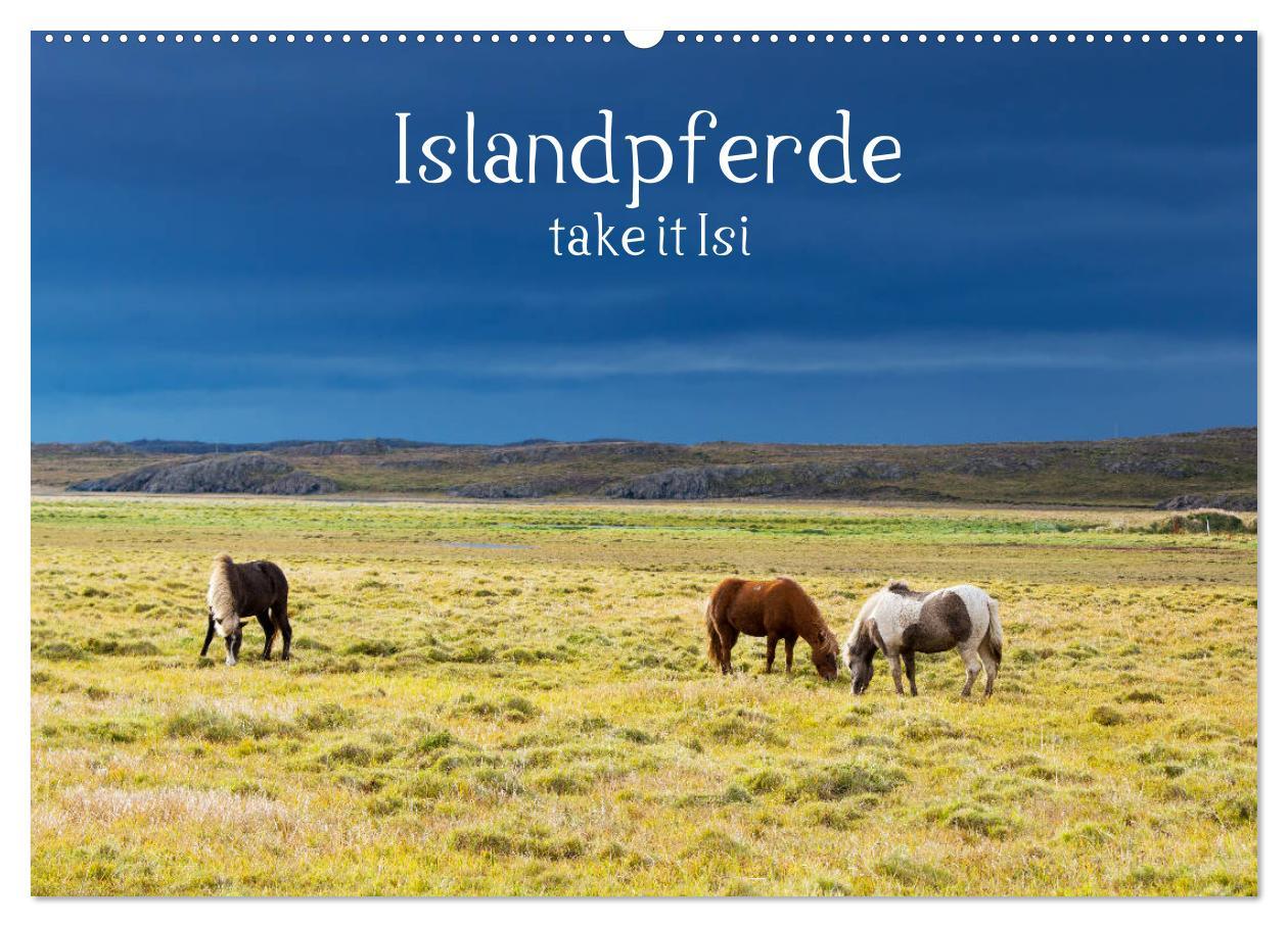 Cover: 9783435272105 | Islandpferde take it Isi (Wandkalender 2025 DIN A2 quer), CALVENDO...