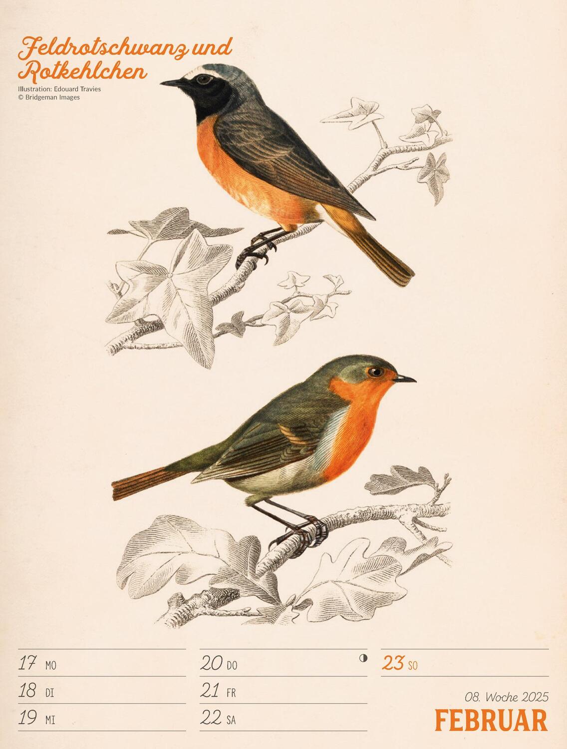 Bild: 9783838435114 | Wunderbare Vogelwelt - Vintage Wochenplaner Kalender 2025 | Kalender