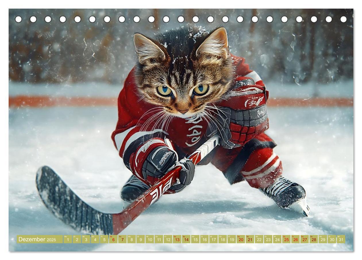 Bild: 9783457178423 | Lustige Sportarten für Katzen (Tischkalender 2025 DIN A5 quer),...