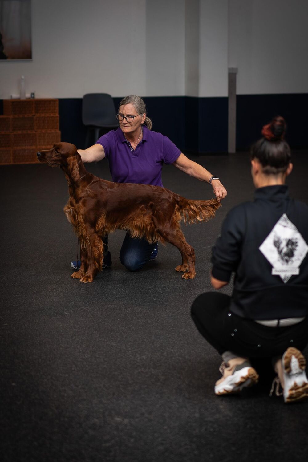 Bild: 9783275023103 | Hunde richtig ausstellen | Nicole Röder (u. a.) | Taschenbuch | 96 S.