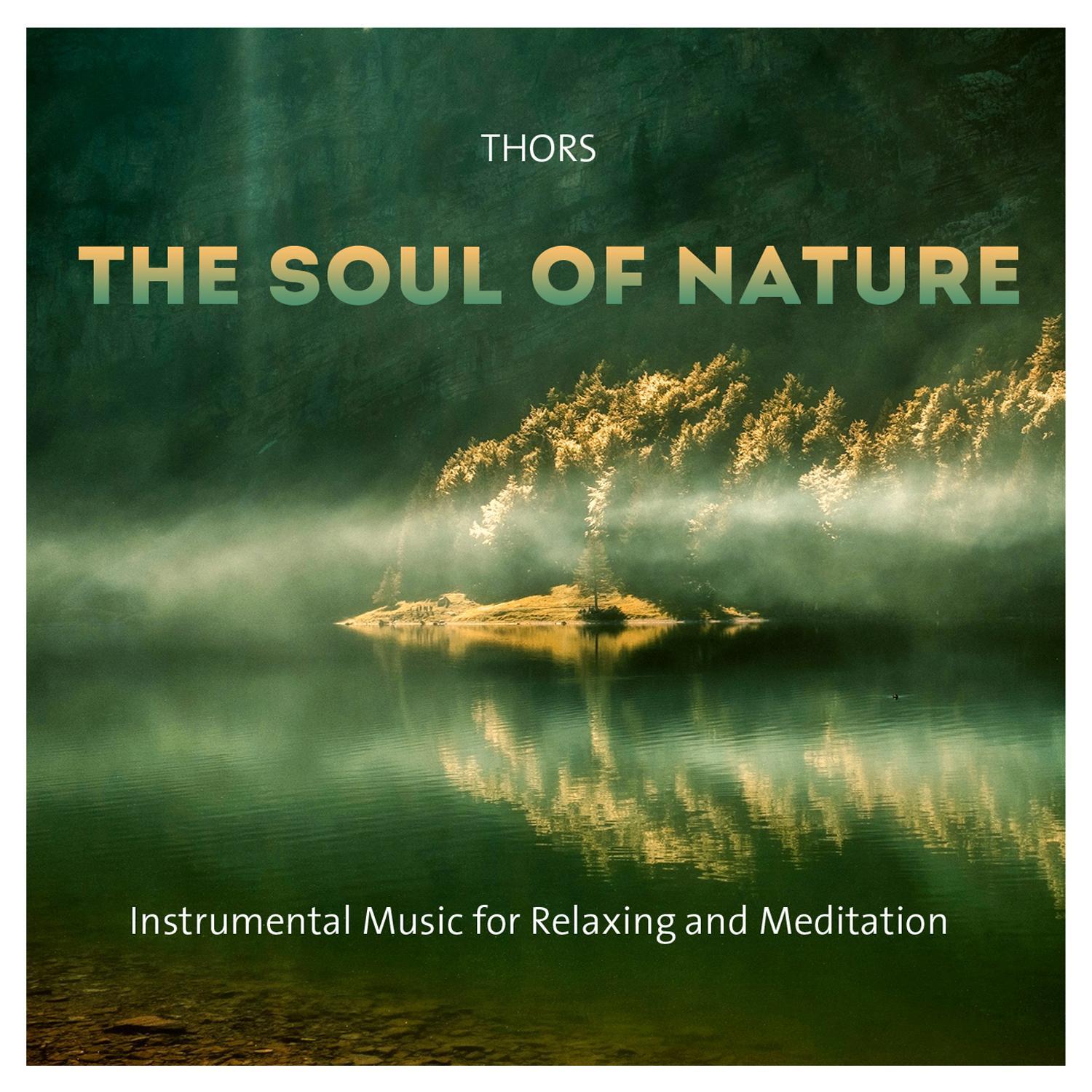 Cover: 9783957663511 | The soul of nature | Thors | Audio-CD | Deutsch | 2018