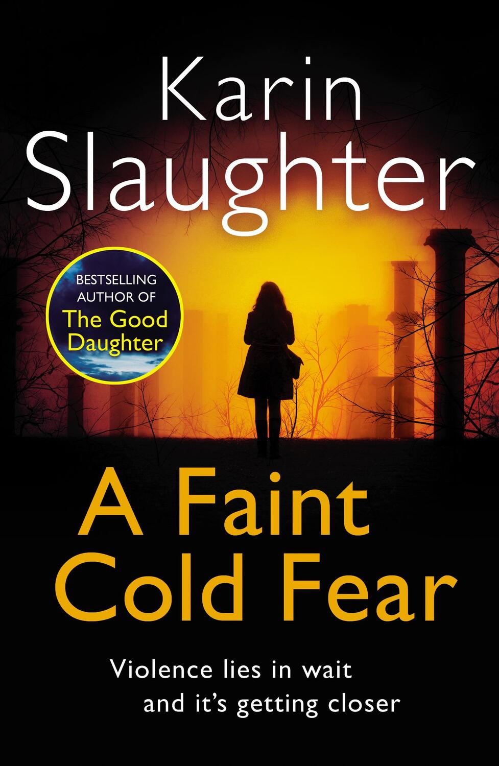 Cover: 9780099553076 | A Faint Cold Fear | (Grant County series 3) | Karin Slaughter | Buch